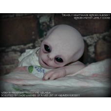 Elara Reborn Vinyl Doll Kit by Jade IN STOCK Elara Reborn Vinyl Doll Kit by Jade IN STOCK