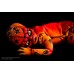 Iskadar Reborn Vinyl Doll Kit by Jade Warner  IN STOCK