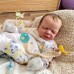 Rio Cuddle Baby -  IN STOCK 