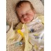 Rio Cuddle Baby -  IN STOCK 