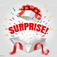 BULK SURPRISE DEAL