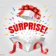 BULK SURPRISE DEAL